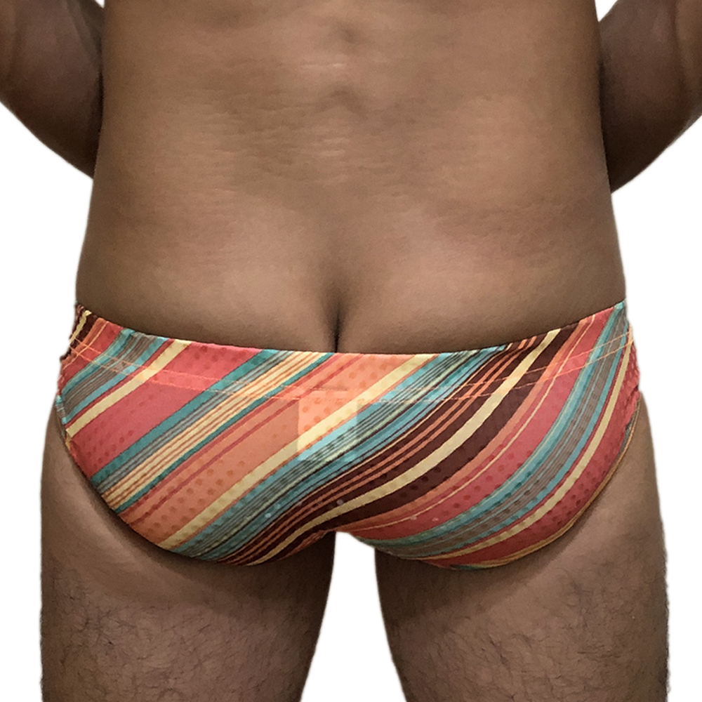 Swimming Briefs A042
