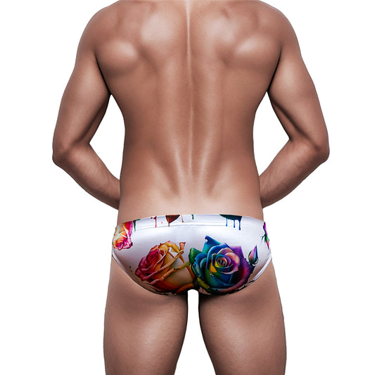 Swimming Briefs 312