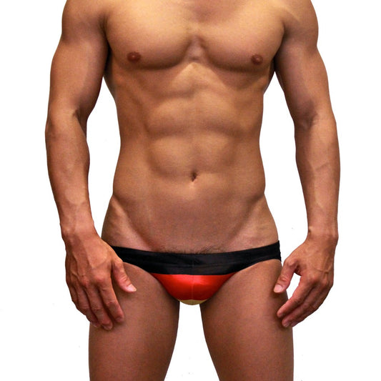 Flags Swimming Briefs F04-Germany